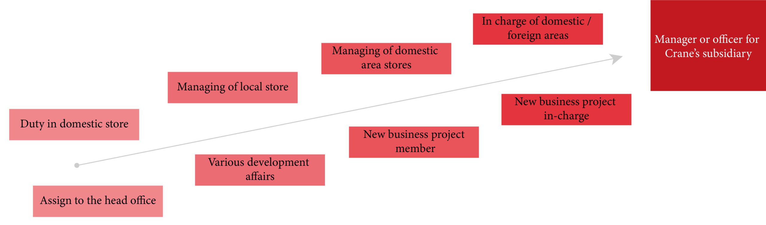 Career Steps